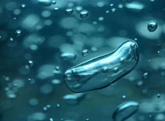 Cosa è la Legionella: rischio invisibile nell’acqua e obblighi per le strutture ricettive