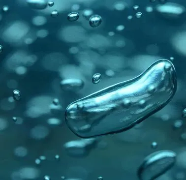 Cosa è la Legionella: rischio invisibile nell’acqua e obblighi per le strutture ricettive